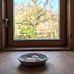 Zwischen Ostsee Und Schlei